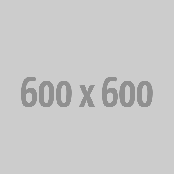 10,000 Web Site Visitors In One Month